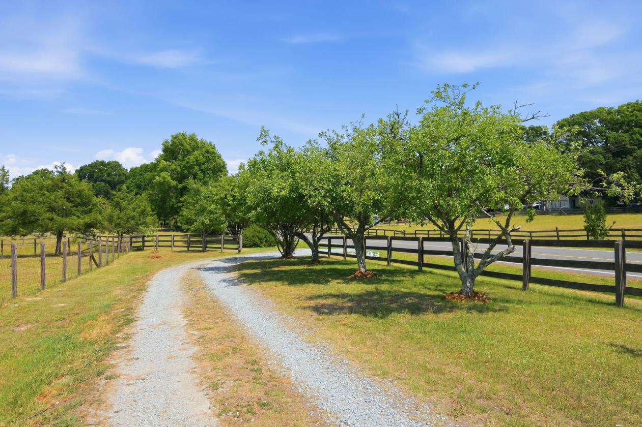 Hobby farm - photo 24