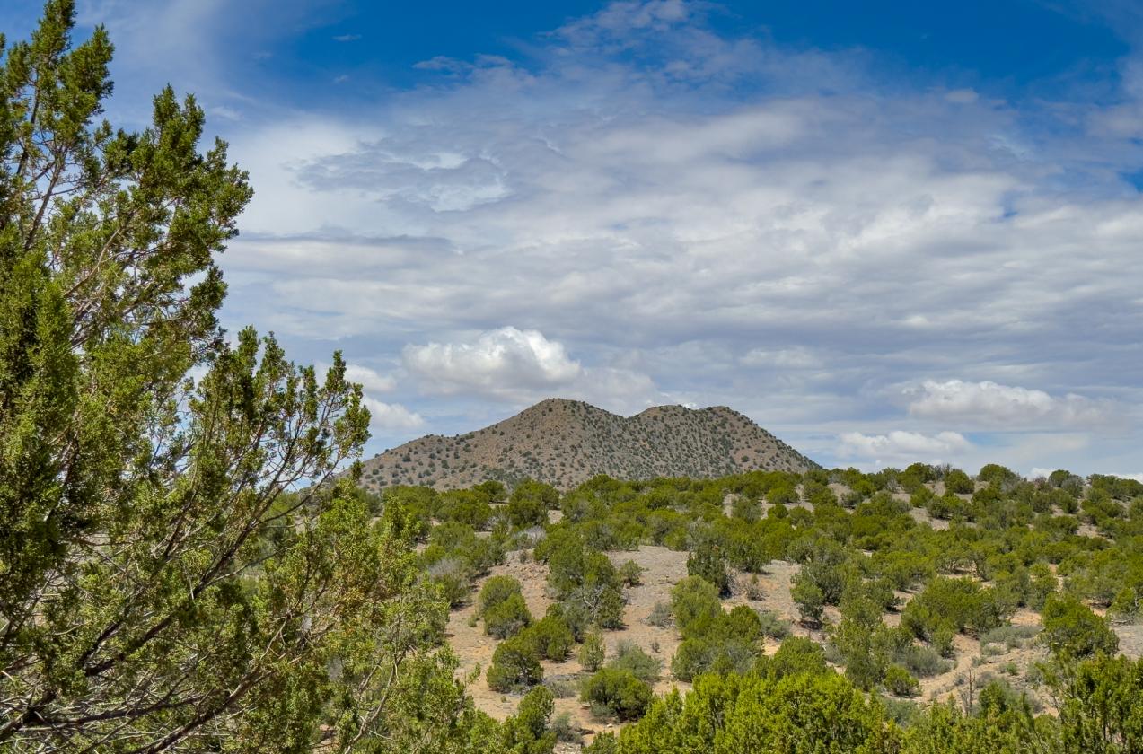 Fantastic Horse Property + Views!!! - photo 2