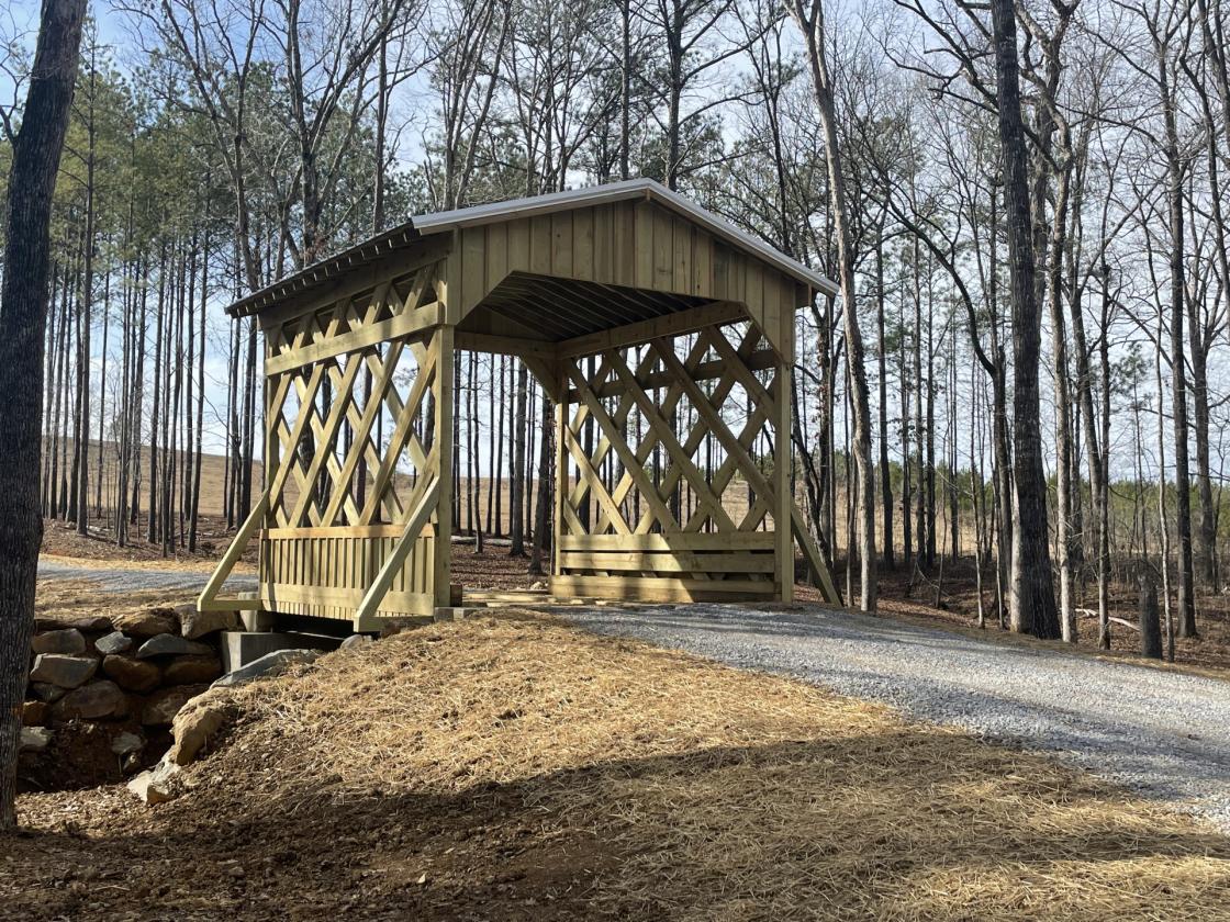 160 Acres in Shelby County w/ pastures and lake - photo 30