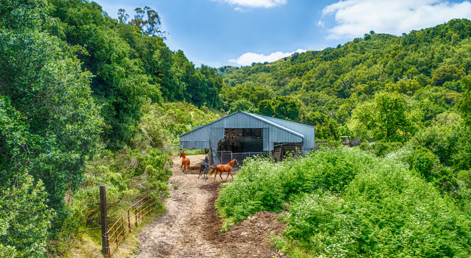 California Bay Area's well known Horse Ranch, Hideway Ranch for
