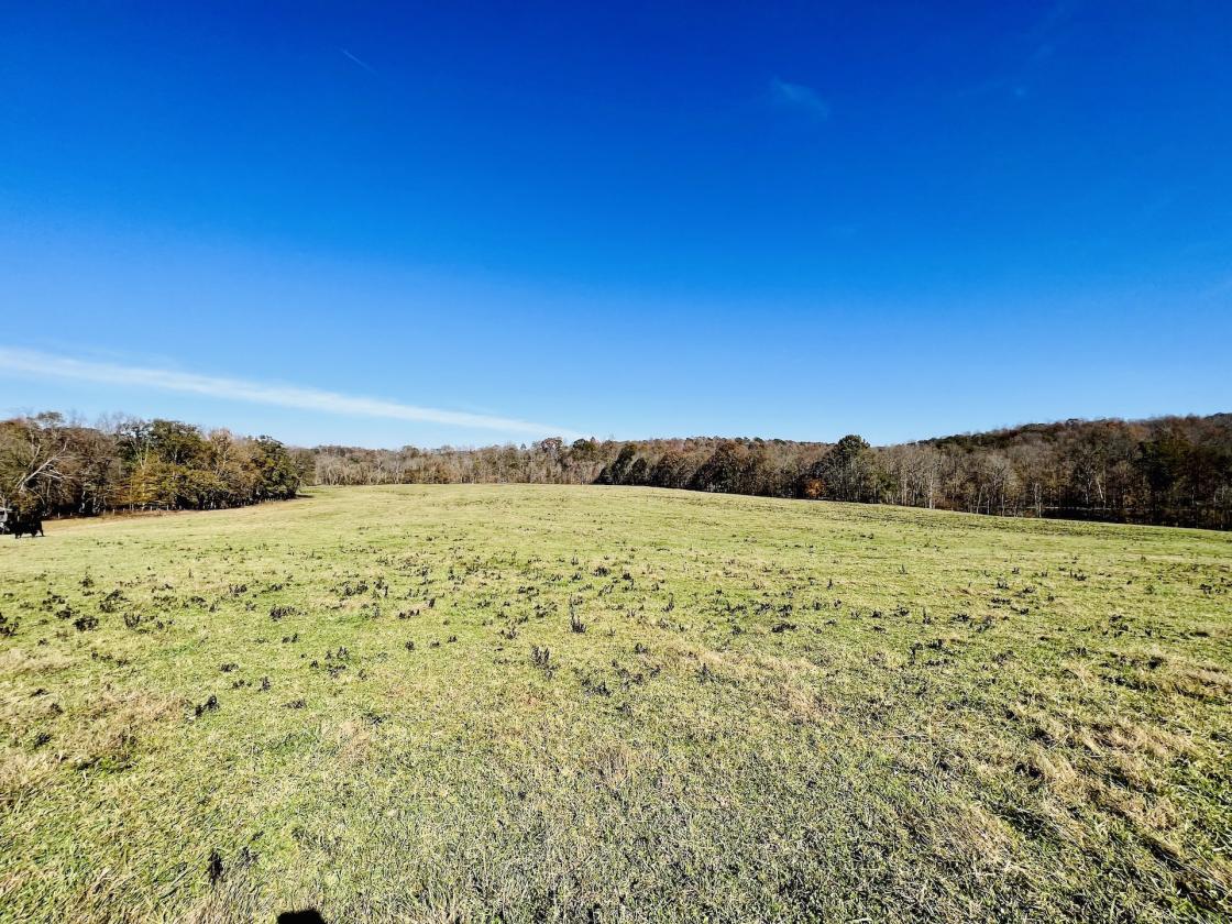 252 ACRES M/L NEAR LAKE CUMBERLAND - photo 11
