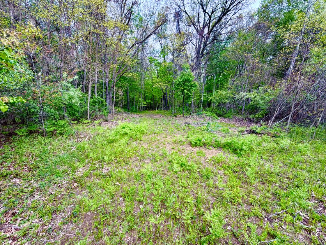 60Acres Equestrian Land with Scenic Trails - photo 22