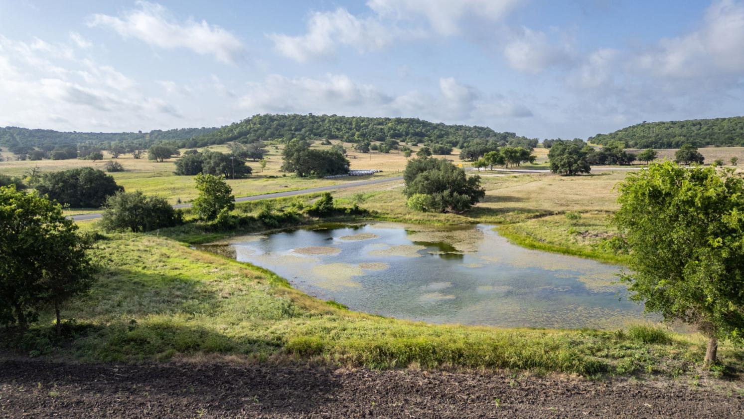 60 Acres in Star - Ready for Horses! - photo 3