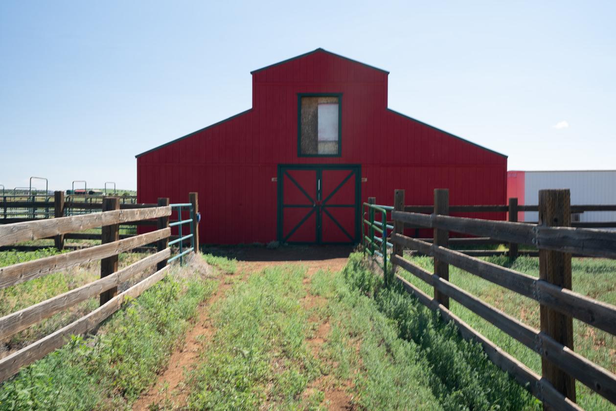 36 Acre Horse Ranch in the Wt. Mtns. of ARIZONA - photo 14