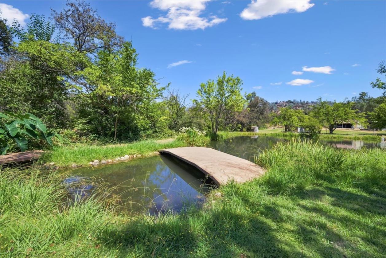 Professional Rodeo setup and Gorgeous House - photo 28