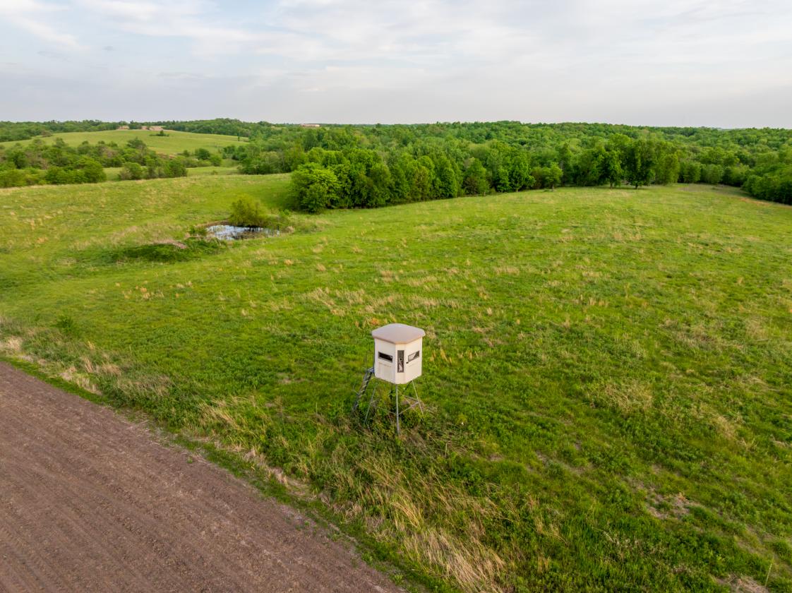 273.5 +/- Acre Turn-Key Cattle and Horse Property - photo 17