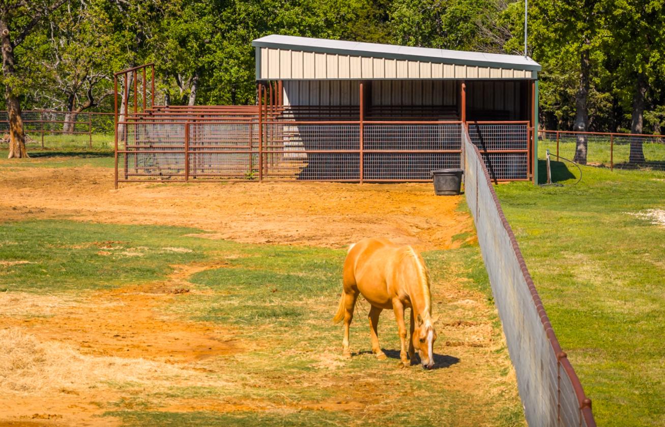 Spirit Ranch - Luxury NTX Equestrian Estate - photo 12