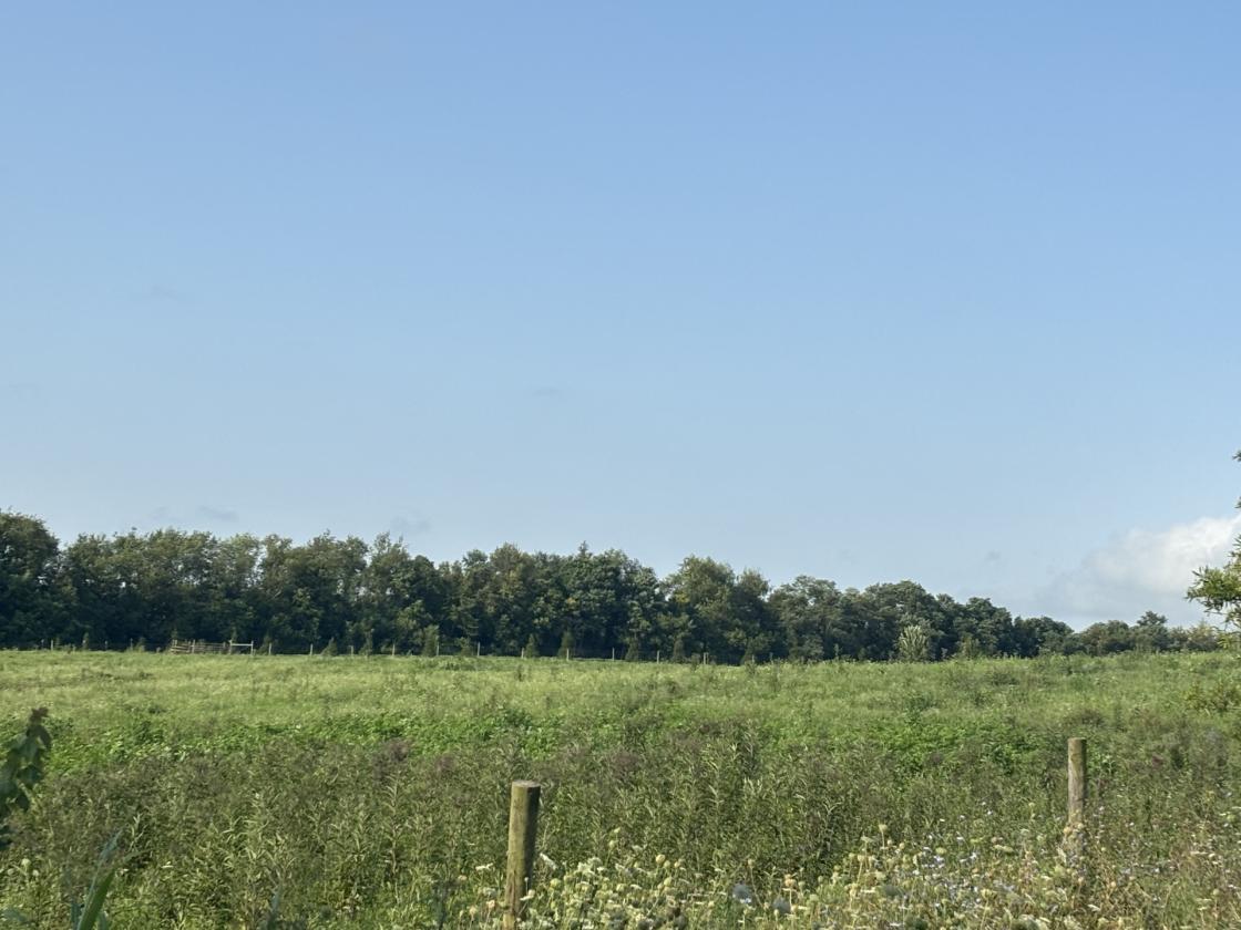 40 acres - photo 3