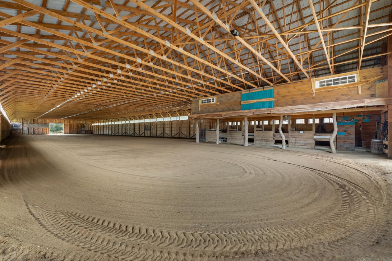 Exceptional Mohican Equine Estate Auction - photo 7