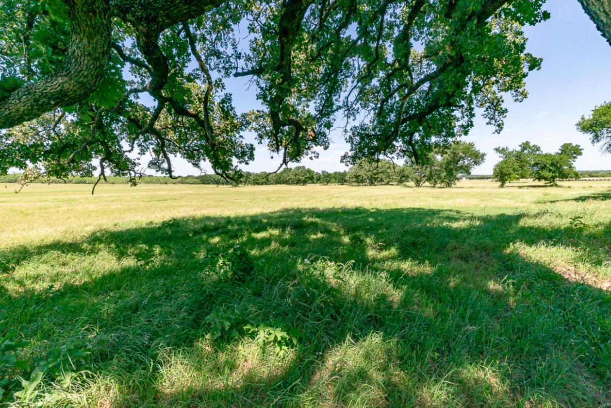 117.5 Acre Horse & Cattle & Rec. Property - photo 23