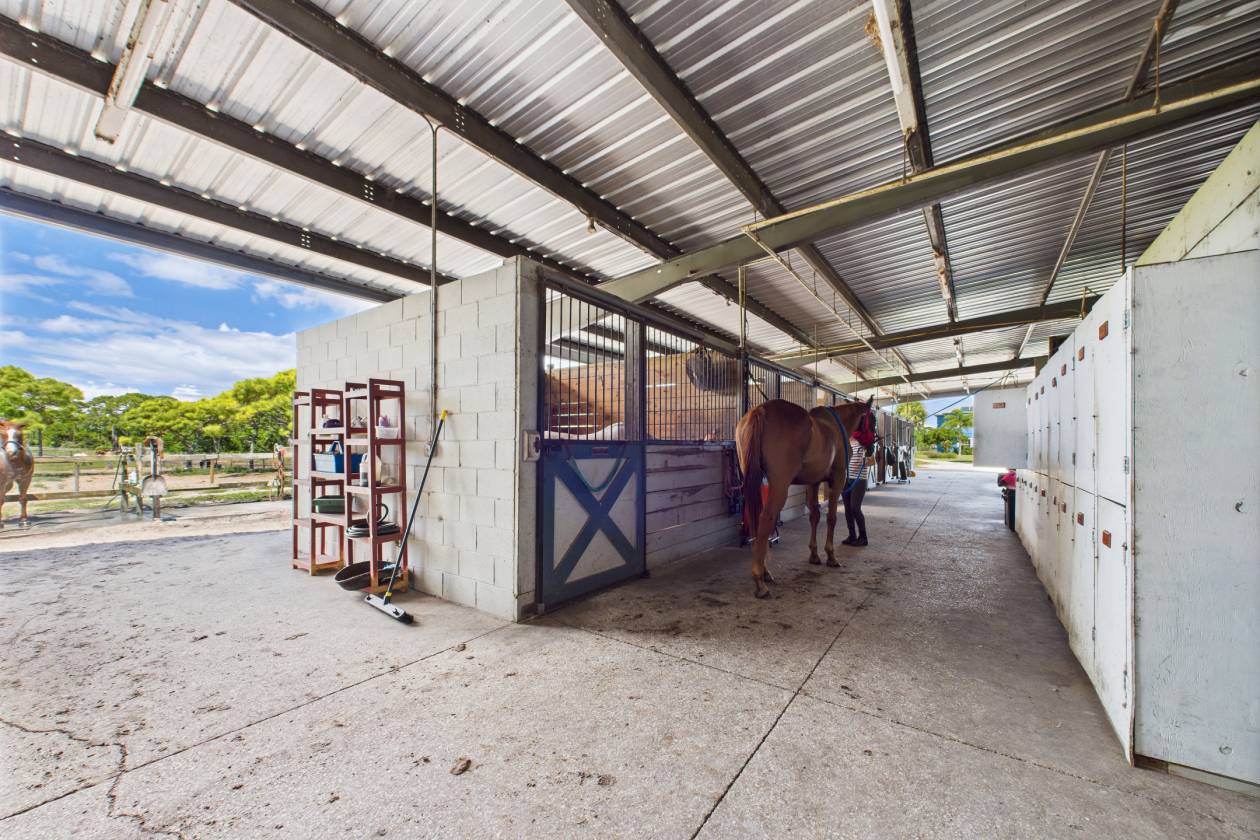 Large Scale Equestrian Boarding/ Training Facility - photo 20
