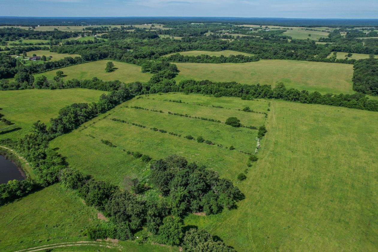 Luxury 227 Acre Horse Property - photo 17