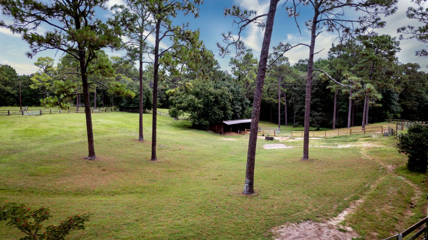 47+ Acres in the Heart of Horse Country - photo 8