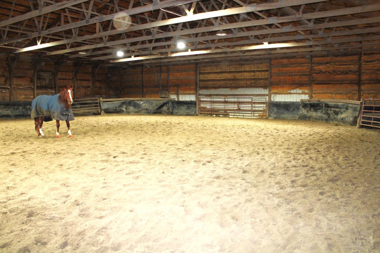 Central Indiana Horse Training & Boarding Facility - photo 15