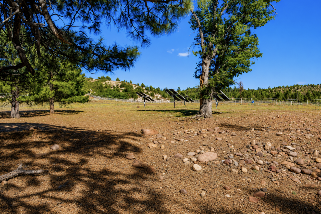 35 Acre Luxury Mountain Estate - photo 30