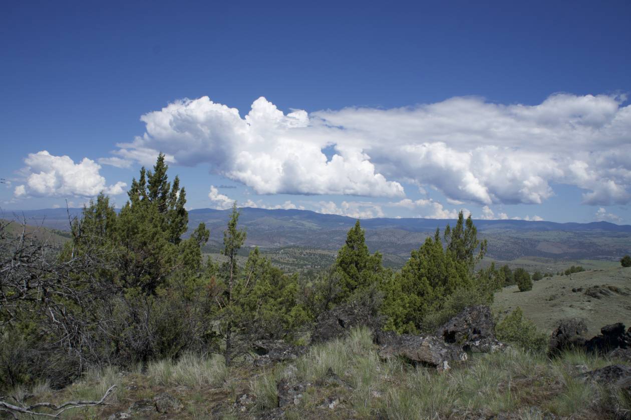 Grant County Land for Sale John Day, Grant County, Oregon