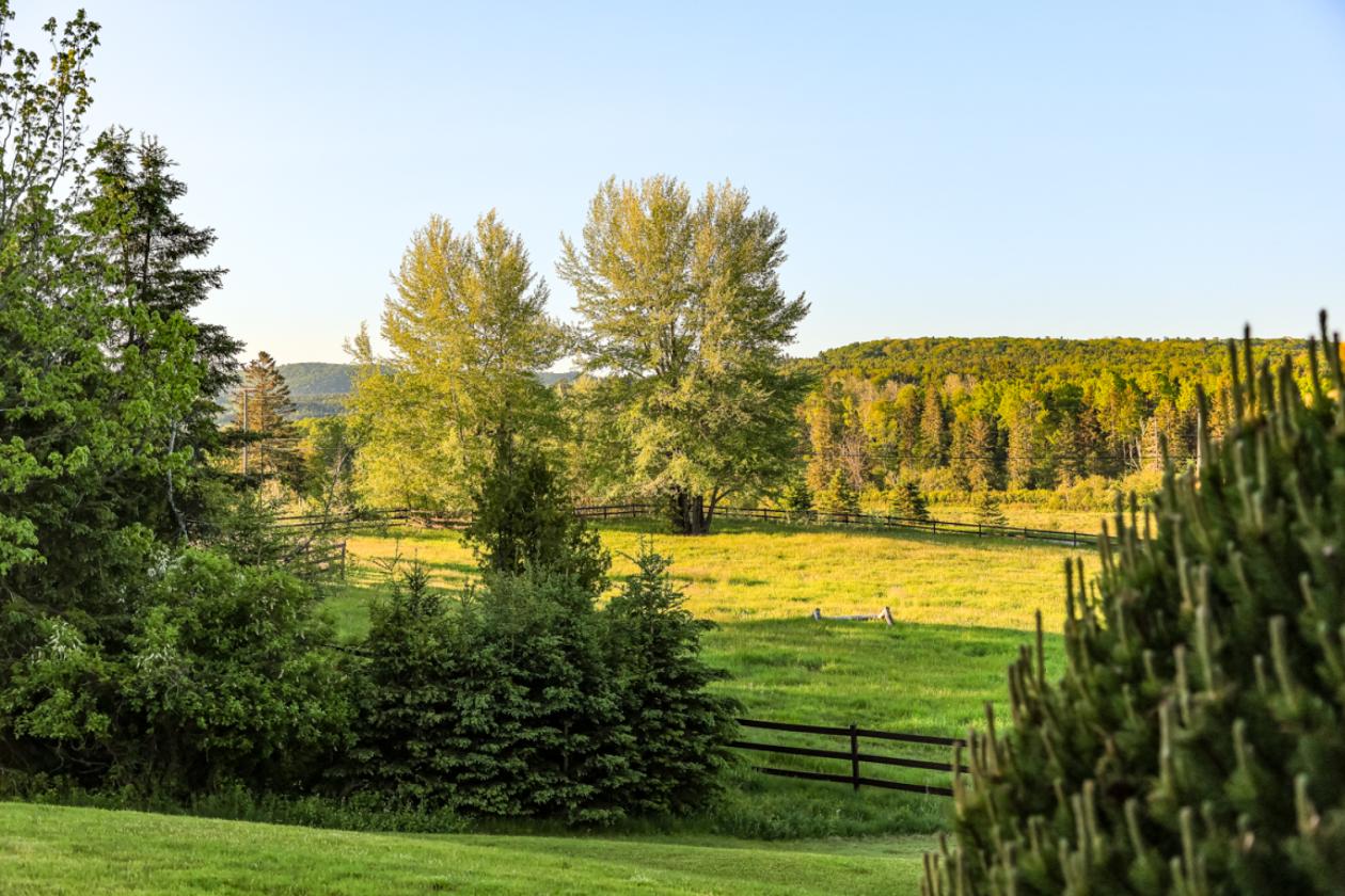40 Acre Equestrian Property with Indoor Arena - photo 12