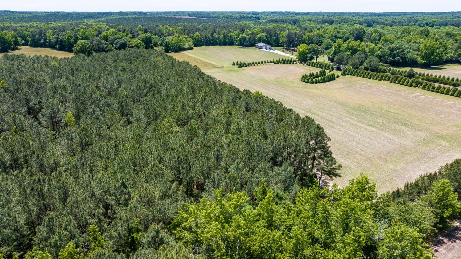 87.84 ACRES WITH FARM HOUSE AND POND - photo 12