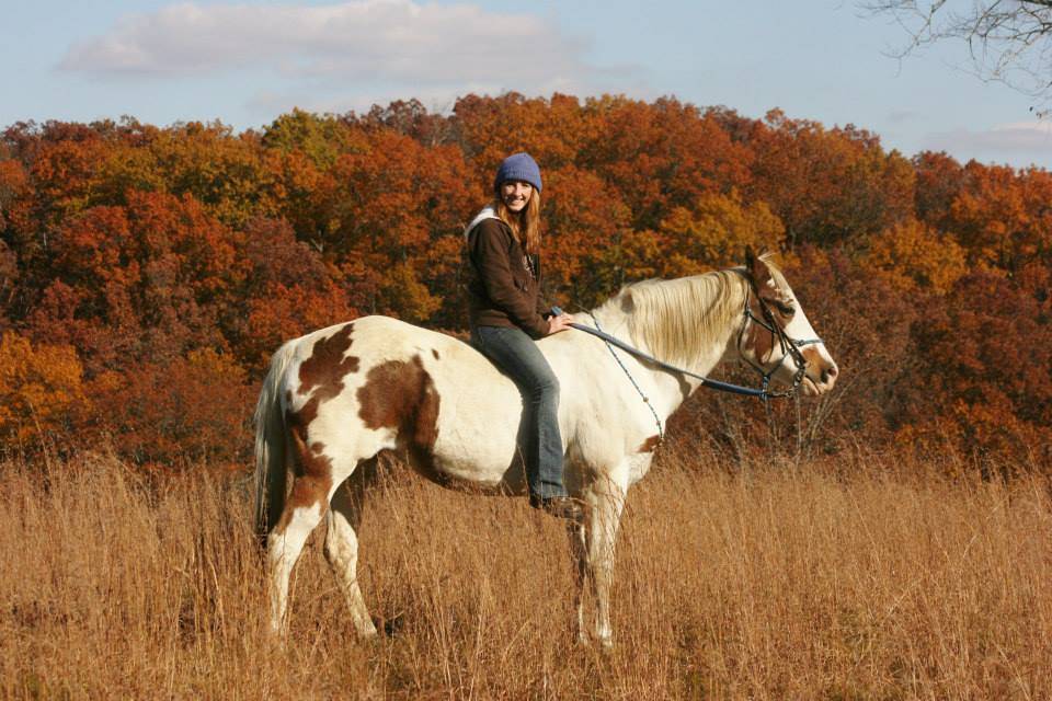 Price reduction!! Adjoining Brown County State Park 20 acre horse