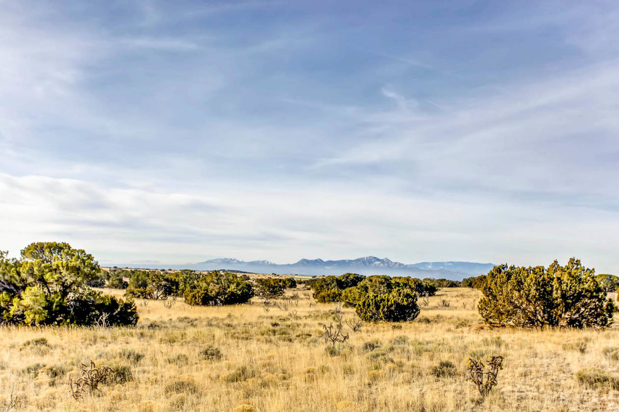 155 VIEW Acres - photo 7
