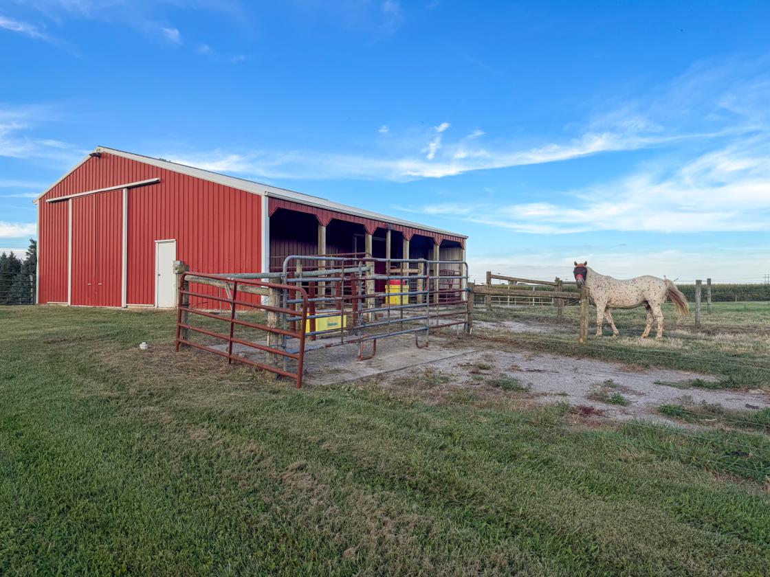 Beautiful Horse property nestled on 20 acres - photo 7