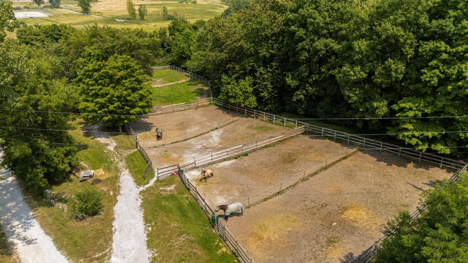Established Equestrian Facility on 17 Acres - photo 17
