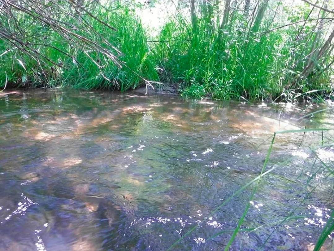 15.268 Acres! Creeks! Trails! Views! Meadows! - photo 13