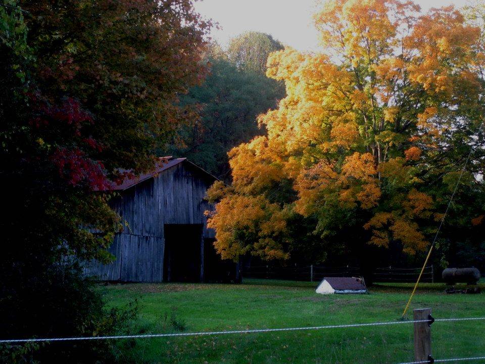 Price reduction!! Adjoining Brown County State Park 20 acre horse