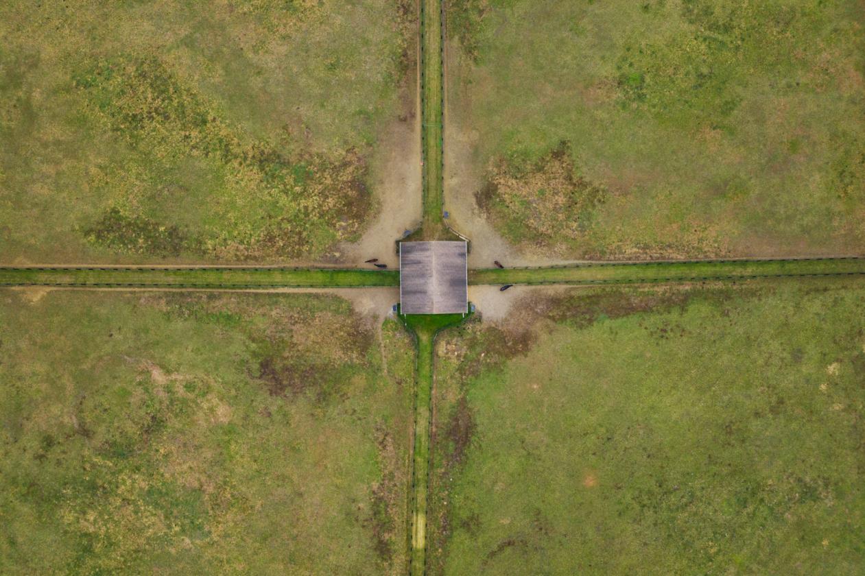 17+ PICTURESQUE ACRES WITH 2 BARNS & HOUSE - photo 10