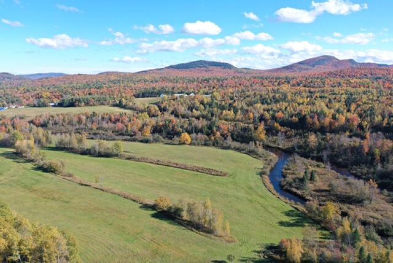 55 Ac. Horse Property Including a Private Island - photo 29
