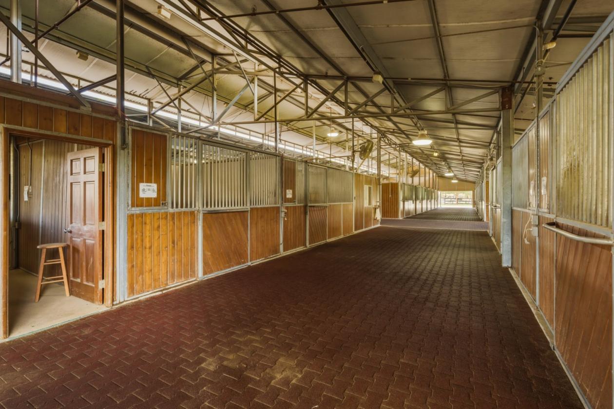 Luxury Equestrian Estate, Resort home, 352 Acres - photo 27