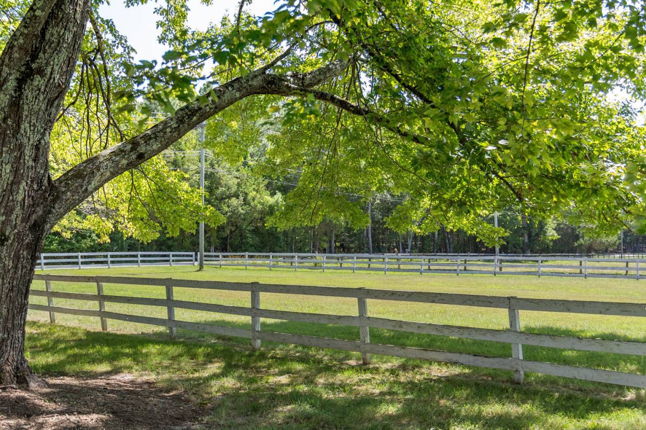 9.8 Acres: Multiple Fenced Pastures  - photo 6