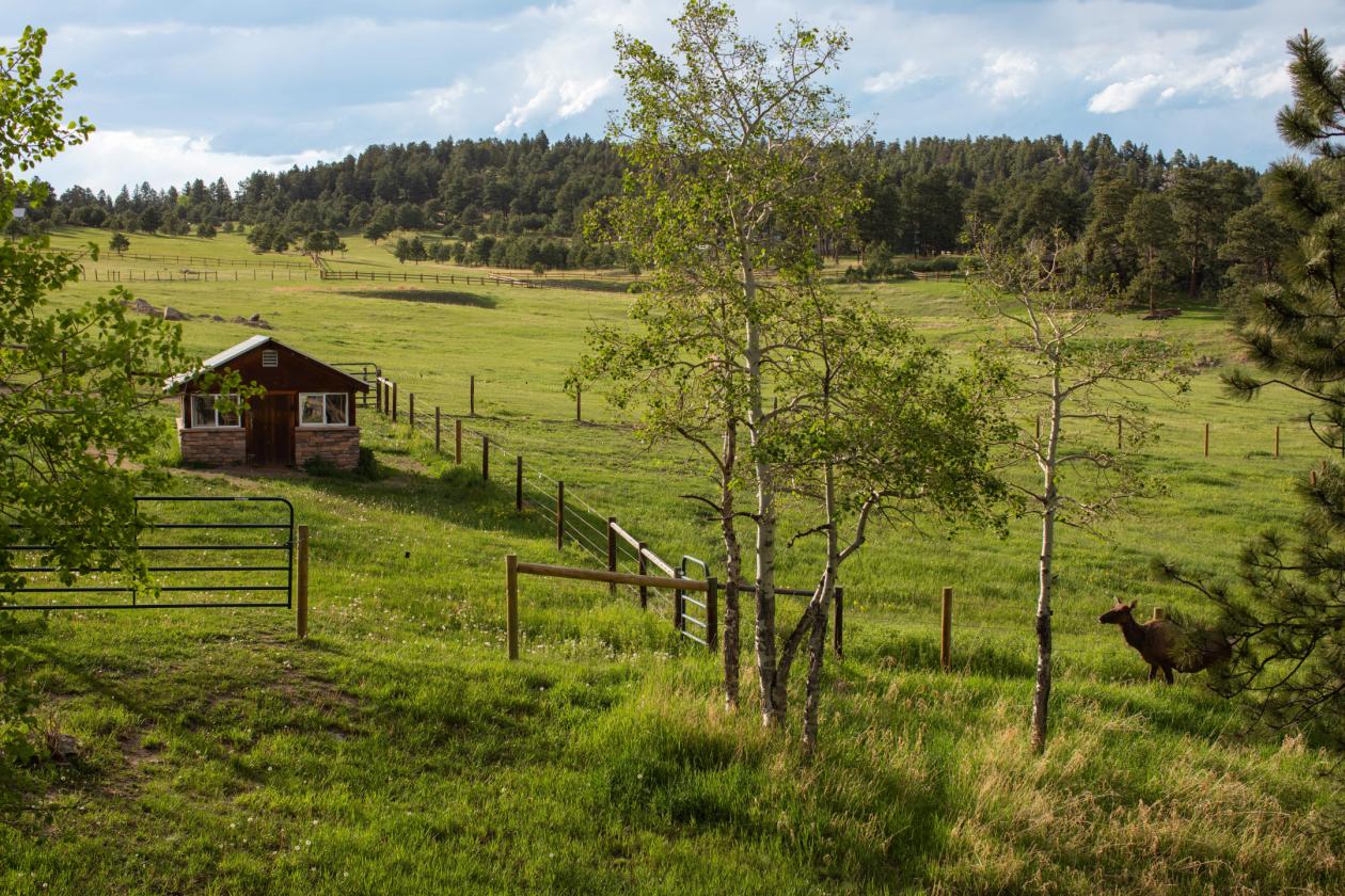 Bear Mountain Ranch - photo 2