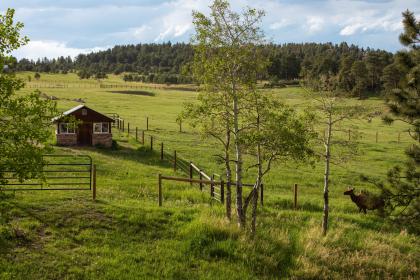 Property image.
