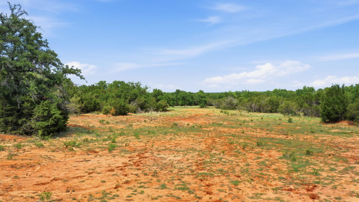 12-Acre Ag-Exempt Property - photo 17
