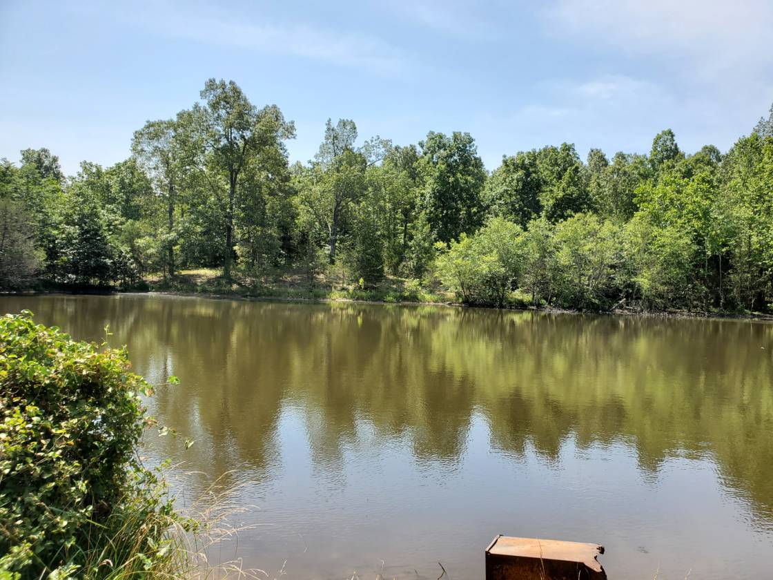 Strawberry River Ranch Oxford, Izard County, Arkansas