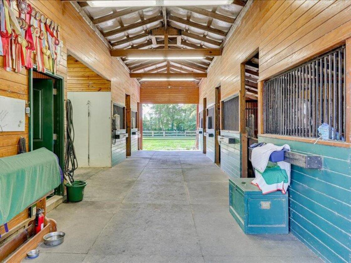 Daisy Hill Farm - Horse Property - photo 5