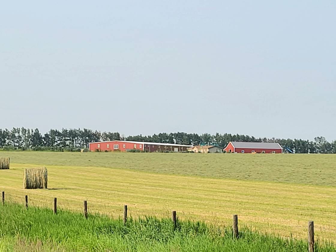 100 x250 ft Steel Engineered INDOOR ARENA, 138.6Ac - photo 7