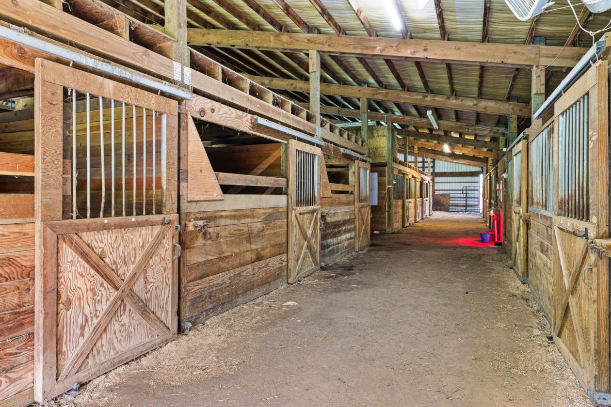 Amazing Farmhouse/Equestrian Property - photo 13
