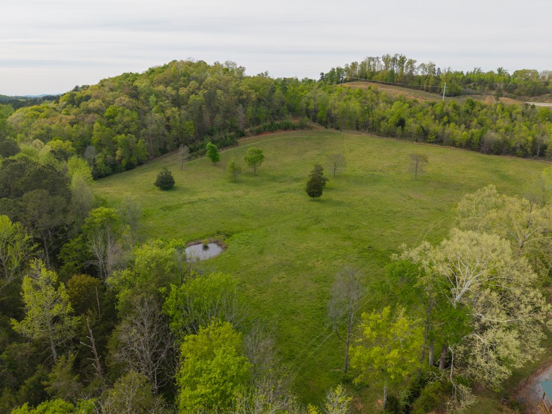 54 Acre Farm with 2 Houses - photo 4