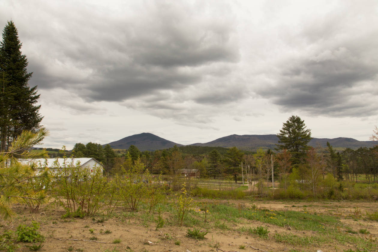Equestrian boarding facility/home, indoor and outdoor arena with 33 box
