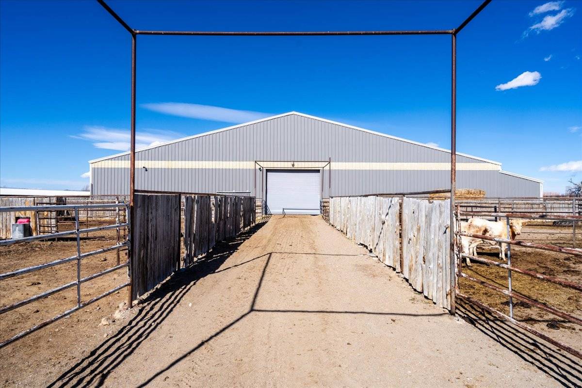 59.3AC, Irrigated Pasture, Indoor Arena, and Home - photo 29