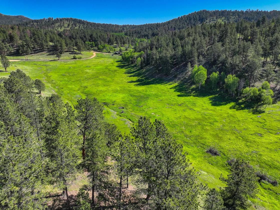 MAGICAL PINE & TINES RANCH - photo 28