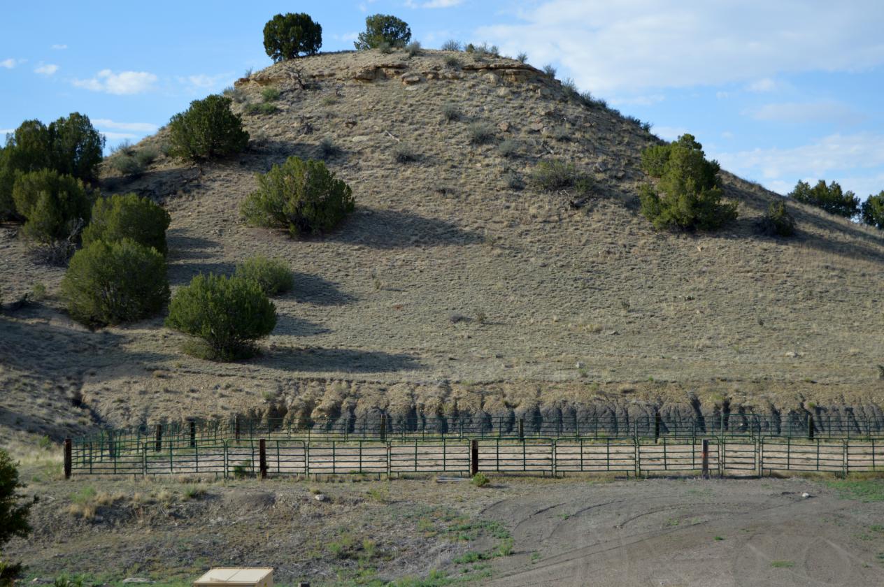 Cash Ranch - photo 25