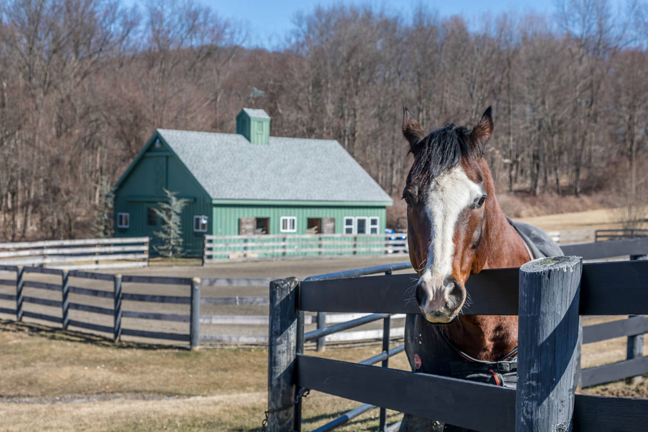 Charming horse property in a standout country setting Sherman