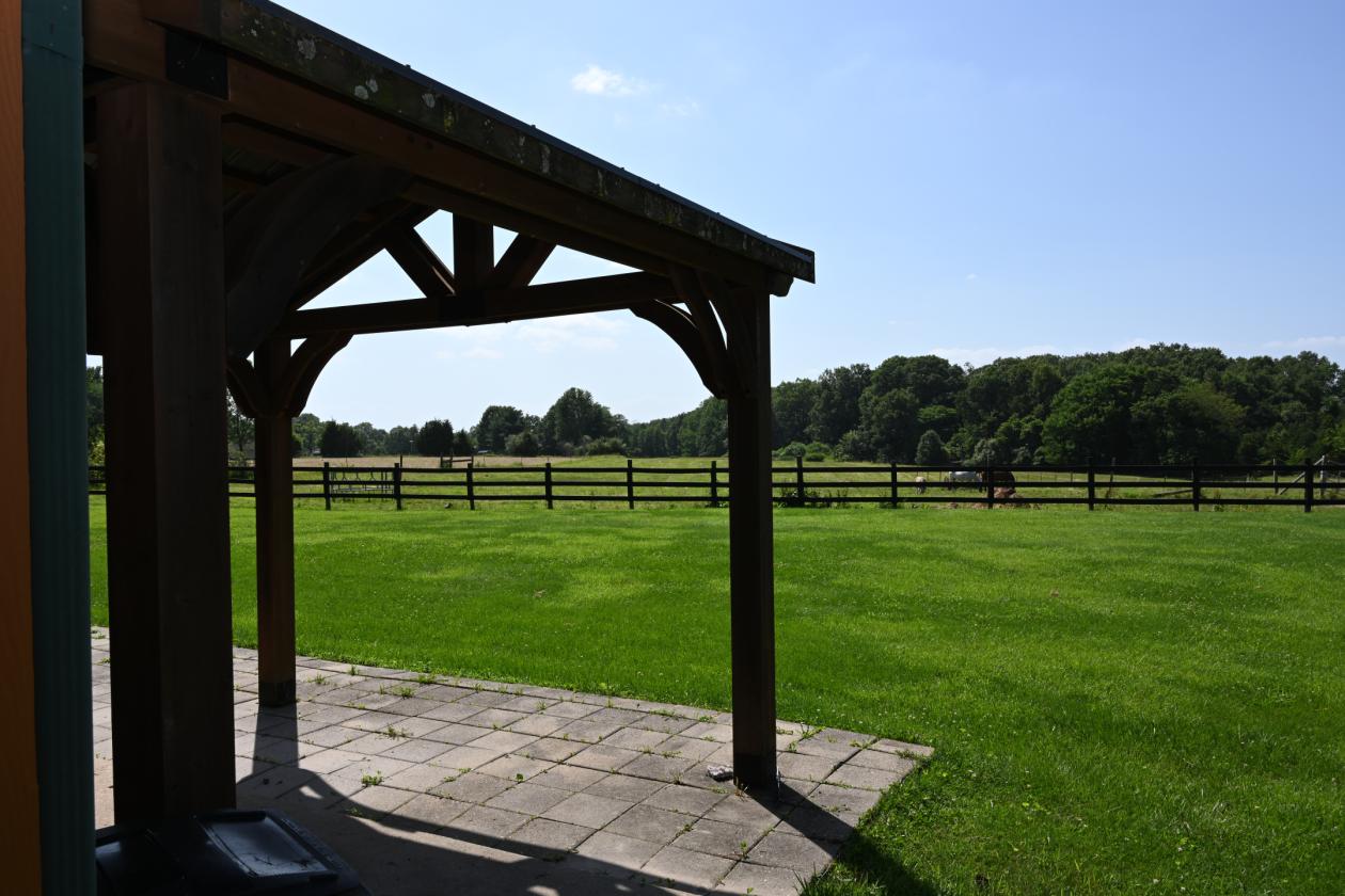 Horse farm with remodeled home - photo 13