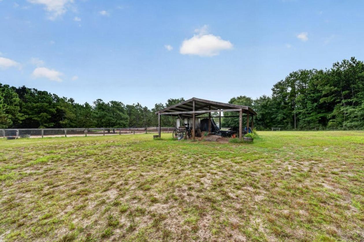 Custom Cottage on 10 Acres in Horse Country - photo 4