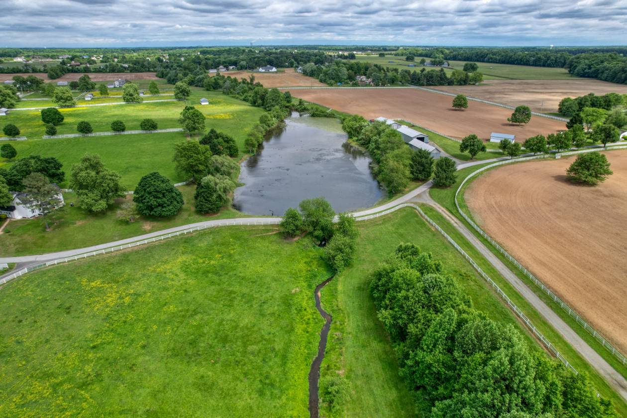 CandyLand Farm: Where Dreams Gallop Free! - photo 16