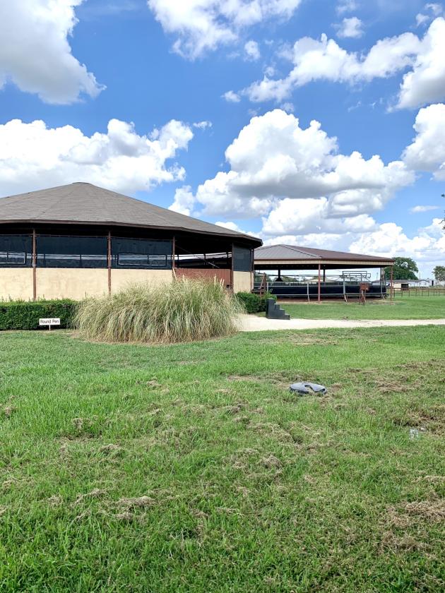 TM Horse Ranch - photo 13