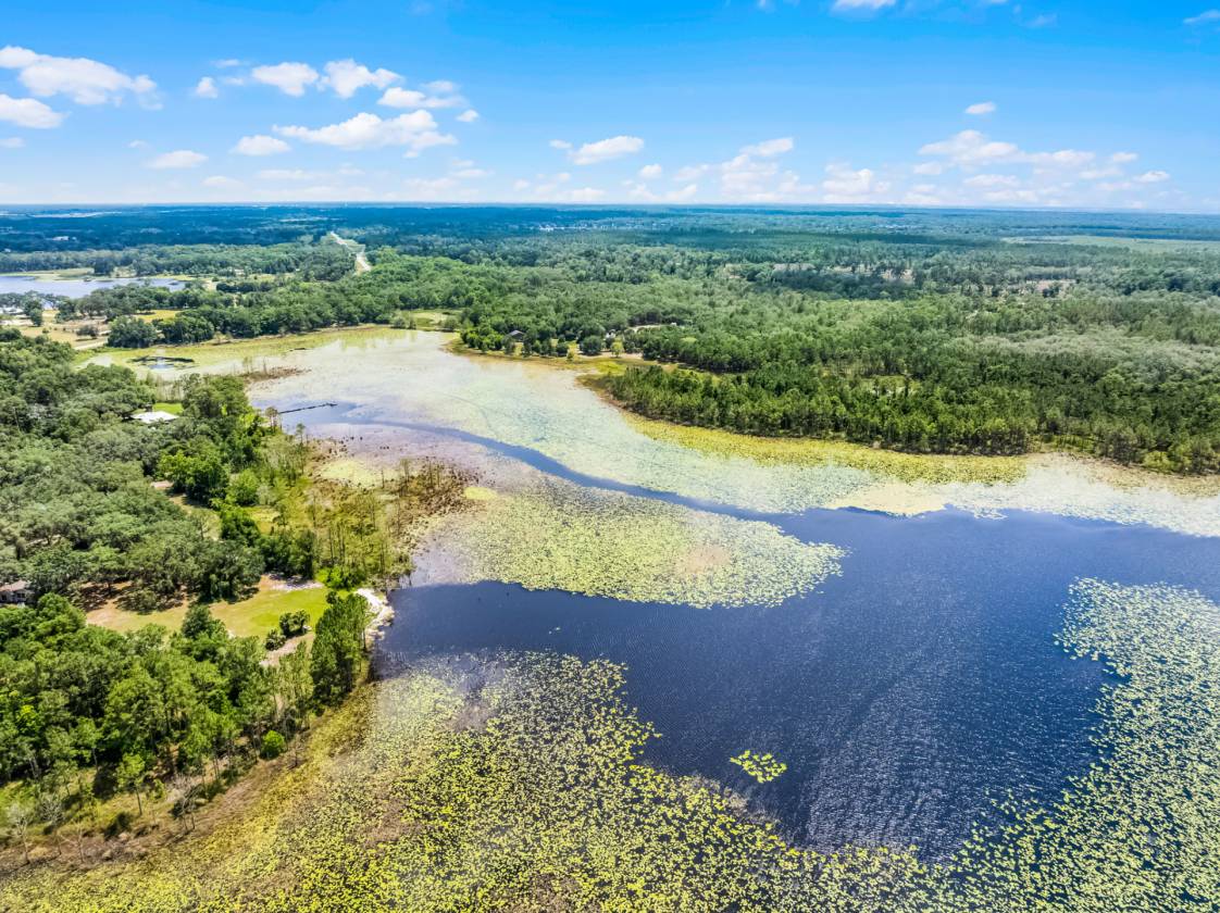Private & Rare Wild Old Florida 36 Acre Gem - photo 11